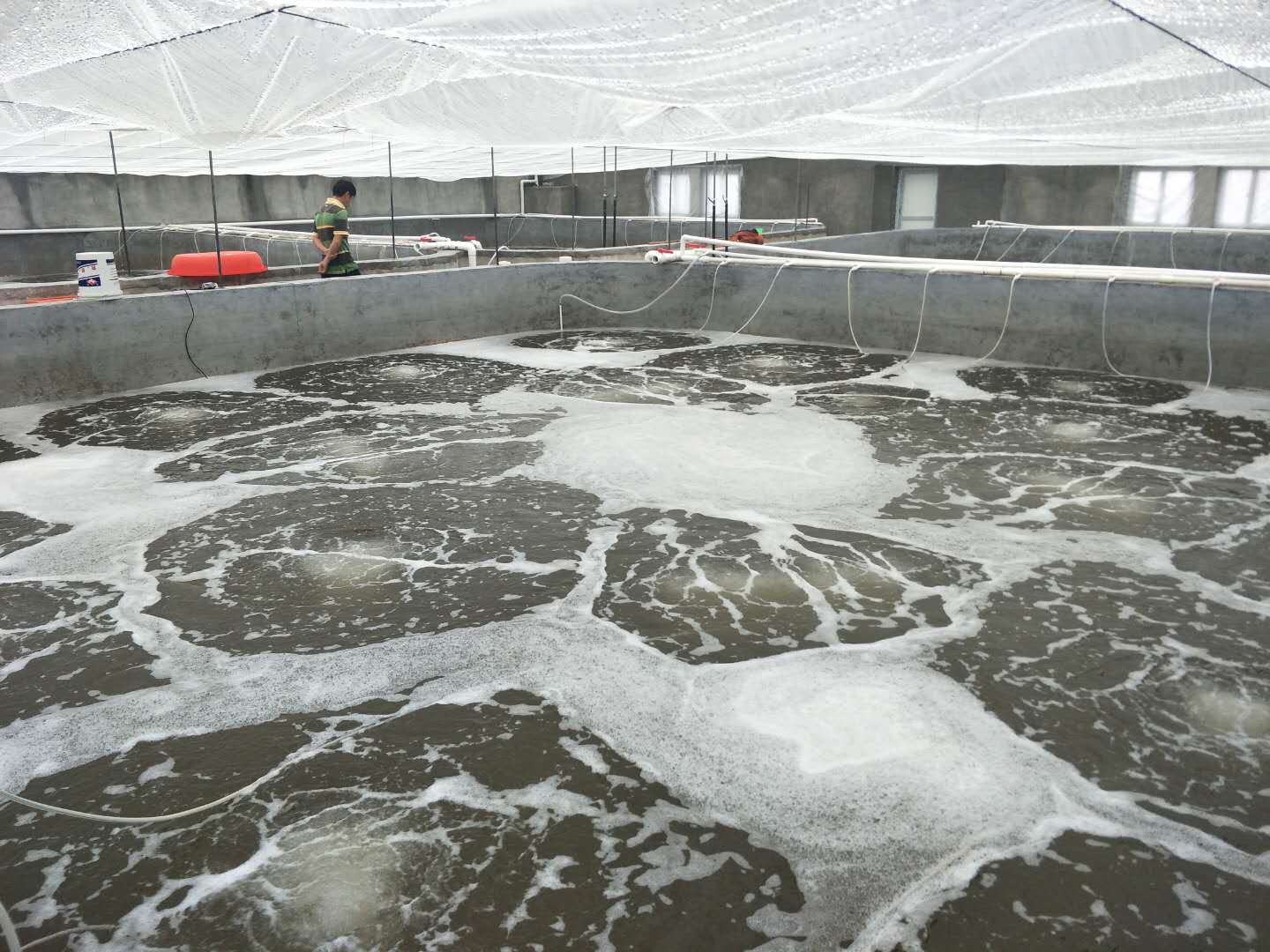 养殖基地